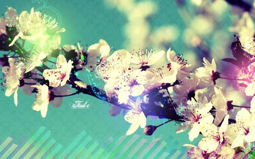 453536 (a): :1680x1050